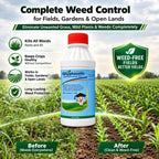41% Glyphosate Liquid Concentrate – Effective Solution for Vegetation Control & Land Maintenance
