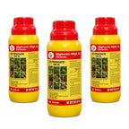 Glyphosate 41% SL Herbicide – Systemic Weed Control 1 L Bottle