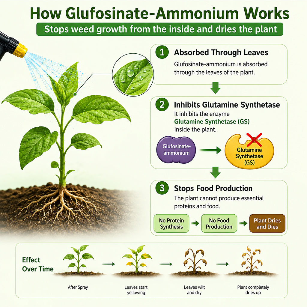 Glyphosate Ammonium Salt Herbicide for Agricultural Weed Control