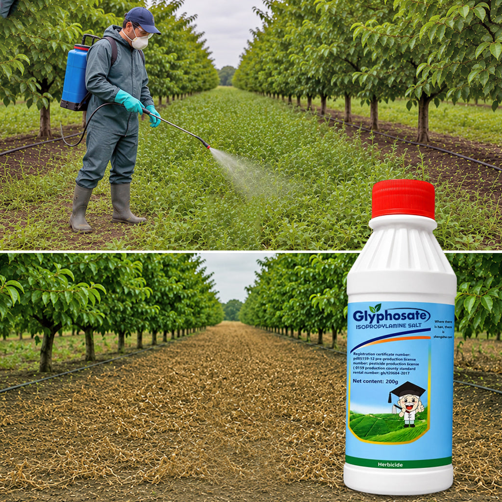 41% Glyphosate Liquid Concentrate – Effective Solution for Vegetation Control & Land Maintenance