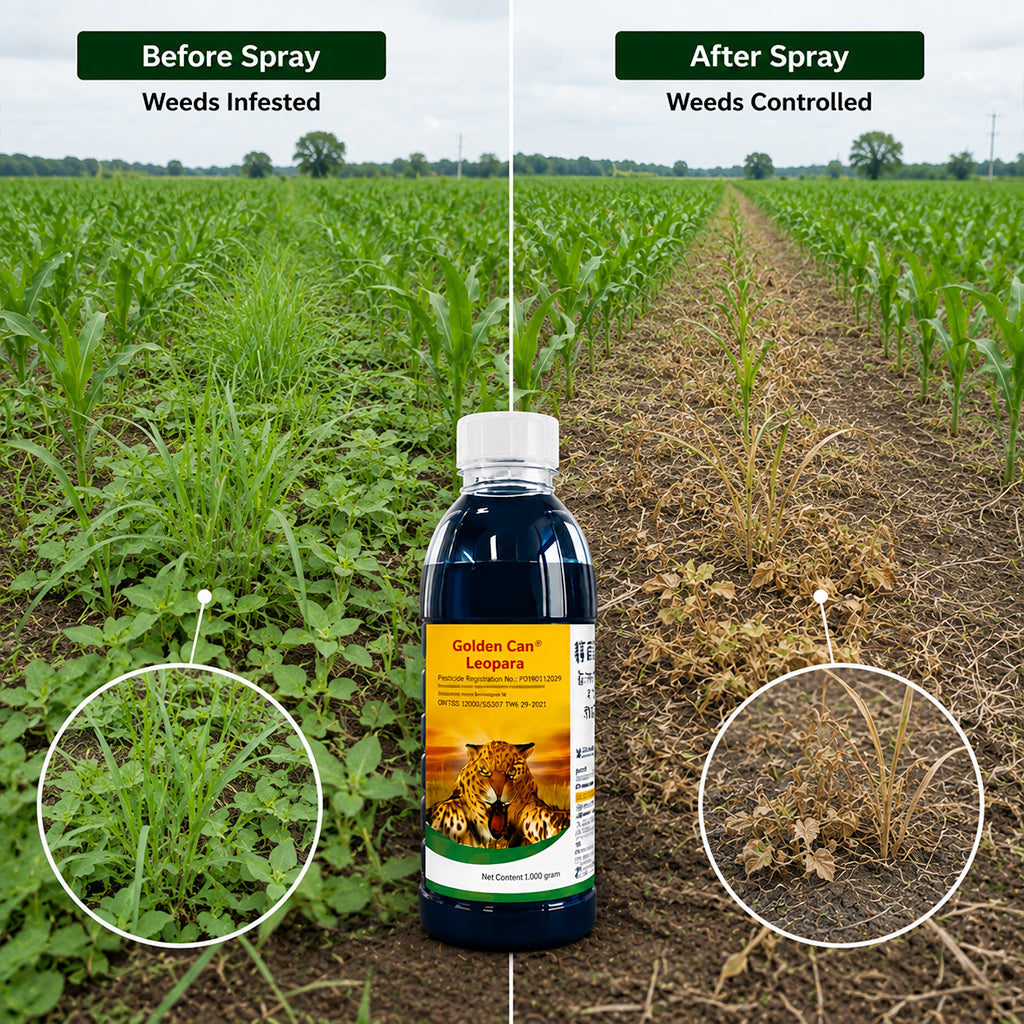 Glyphosate Ammonium Salt Herbicide for Agricultural Weed Control