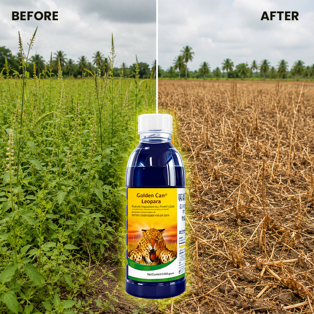 Glyphosate Ammonium Salt Herbicide for Agricultural Weed Control
