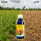 Glyphosate Ammonium Salt Herbicide for Agricultural Weed Control